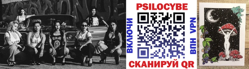 Псилоцибиновые грибы прущие грибы  Чернушка 